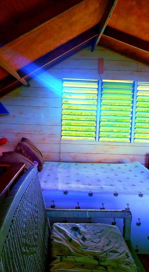 Ginger Lodge Cottage, Peters Rock, Woodford Po St Andrew, Jamaica - This Property Is Not In Jacks Hill كينغستون المظهر الخارجي الصورة