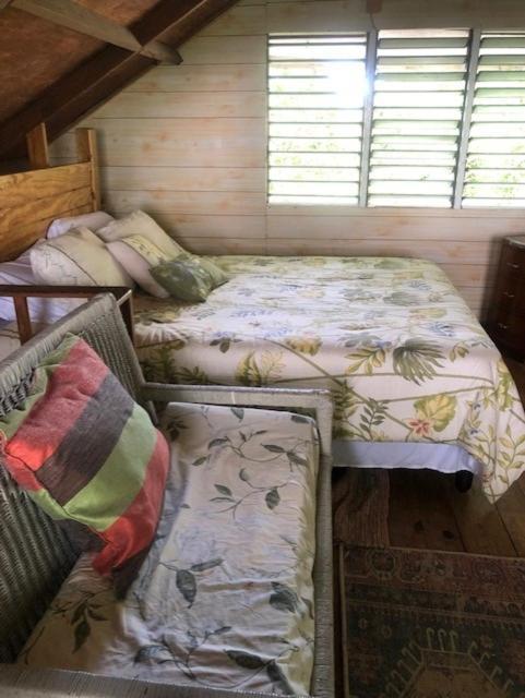 Ginger Lodge Cottage, Peters Rock, Woodford Po St Andrew, Jamaica - This Property Is Not In Jacks Hill كينغستون المظهر الخارجي الصورة