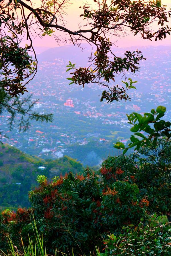 Ginger Lodge Cottage, Peters Rock, Woodford Po St Andrew, Jamaica - This Property Is Not In Jacks Hill كينغستون المظهر الخارجي الصورة