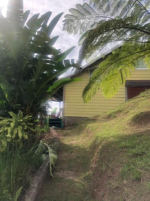 Ginger Lodge Cottage, Peters Rock, Woodford Po St Andrew, Jamaica - This Property Is Not In Jacks Hill كينغستون المظهر الخارجي الصورة